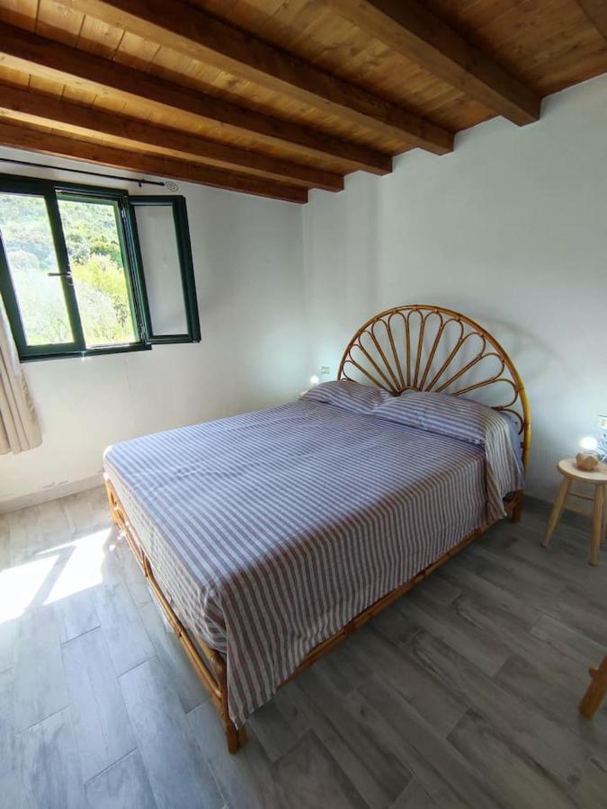 Villa Ulivella Schifoni Экстерьер фото